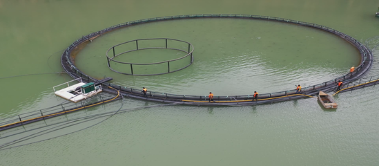 尼勒克縣:深耕&ldquo;水上糧倉&rdquo; 打造高質量發展&ldquo;綠色引擎&rdquo;